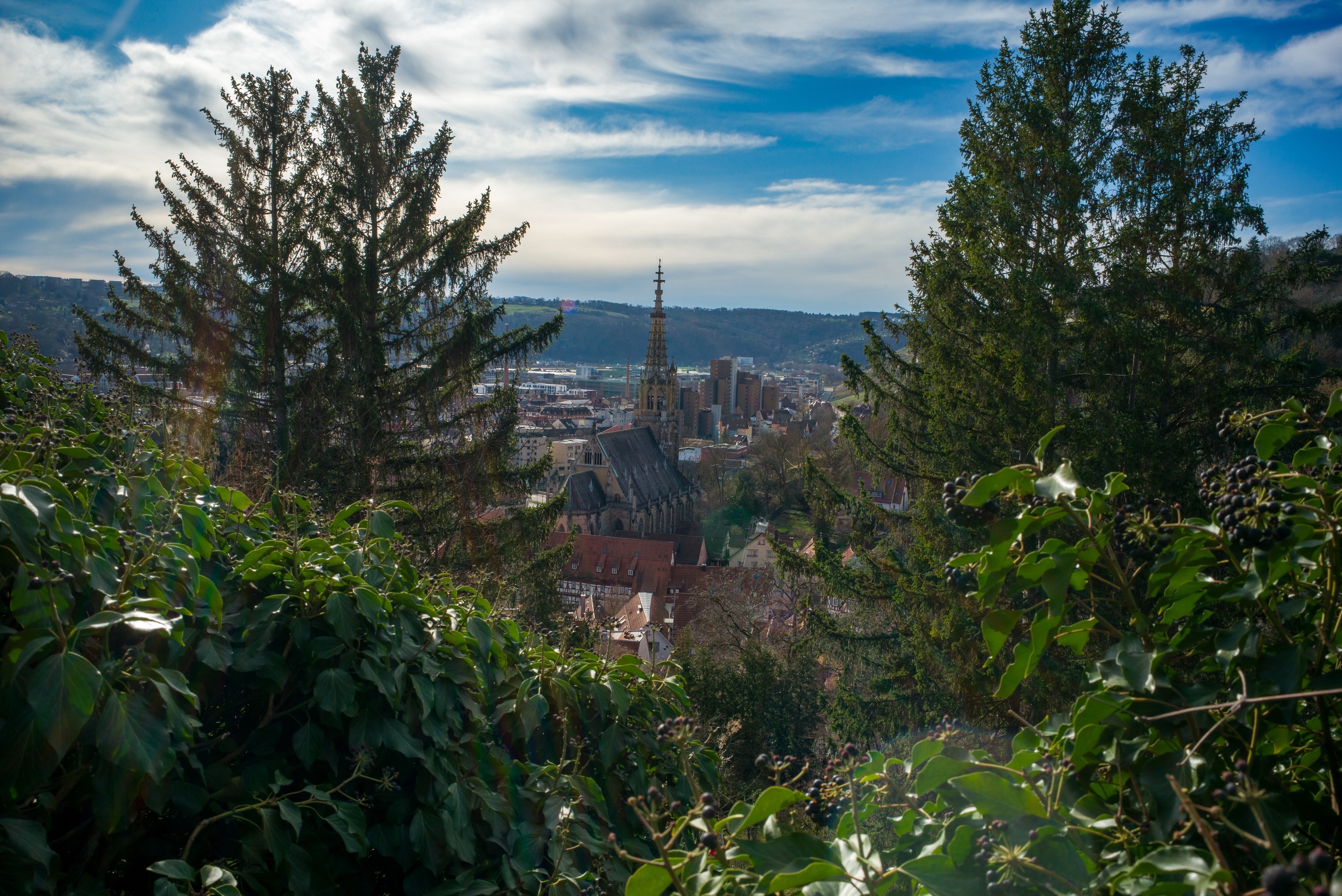 Blick auf die Frauenkirche in #Esslingen, von der Burg aus gesehen.