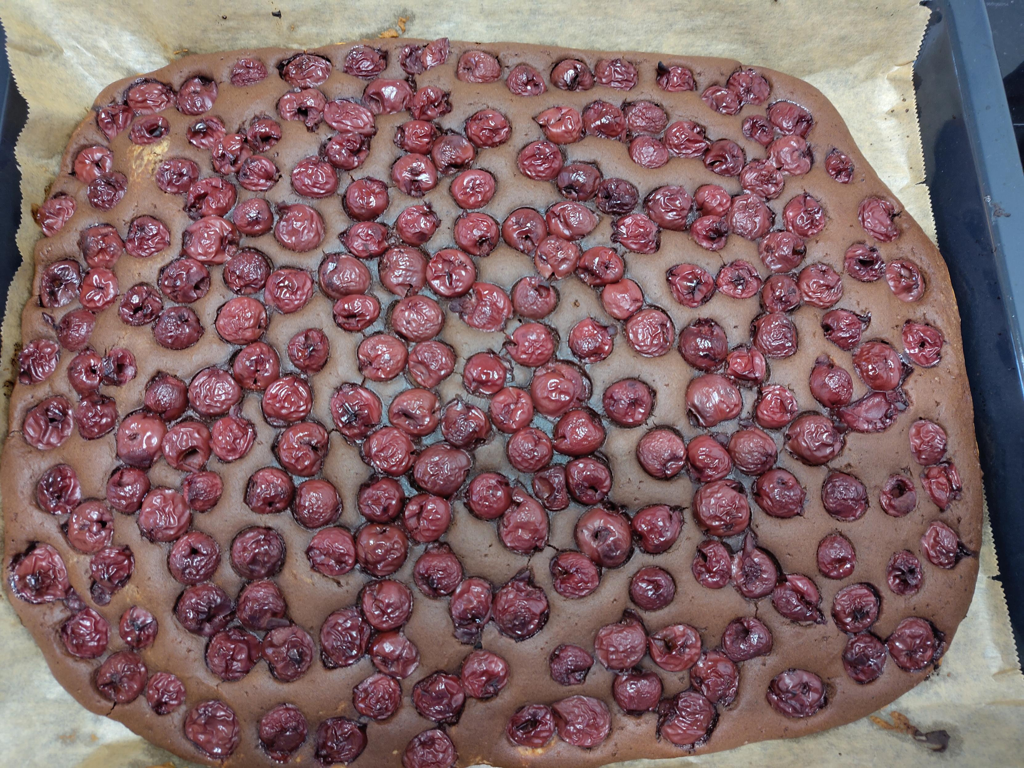 Ein Blechkuchen, gebacken. Man sieht viele Kirschen auf dunklem Kuchenboden.