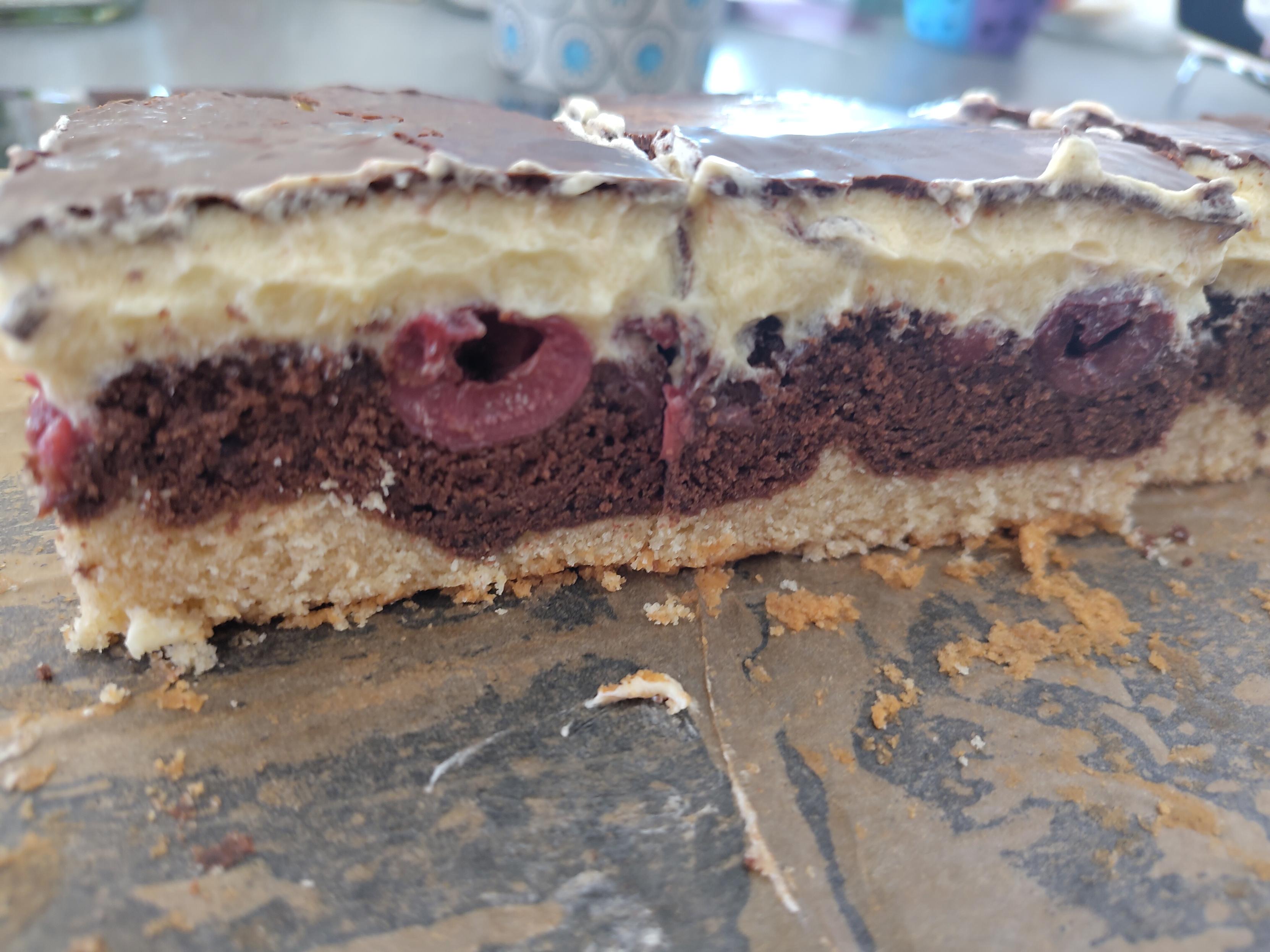 Donauwelle im Anschnitt